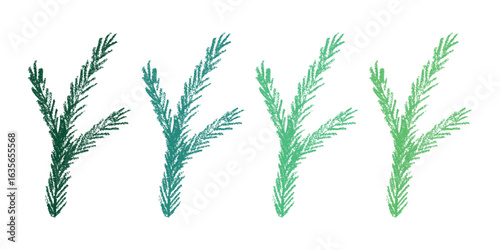 Set of hand drawn spruce branch clipart. Twig of coniferous tree doodle. Christmas and winter design element