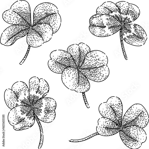 clover set sketch hand drawn vector