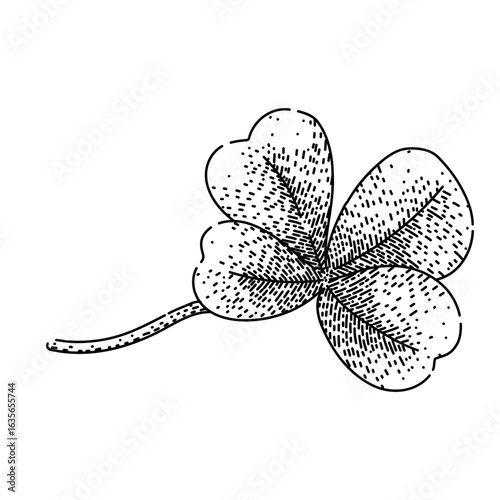 pasture clover sketch hand drawn vector