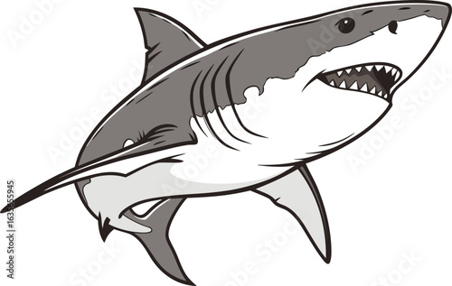 Great White Shark Illustration. Realistic Great White Shark Design. Underwater Great White Shark Art. Great White Shark Swimming Pose. Wild Ocean Great White Shark. Dangerous Shark Silhouette