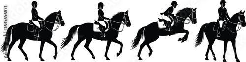 Horse riding silhouette, equestrian jumping stages, walking, trotting, mid-air jump, landing pose, rider and horse, sport motion, vector graphic