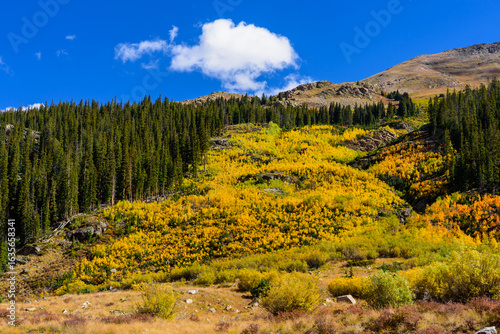Photography Golden Season in the Centennial State, Colorado, USA
