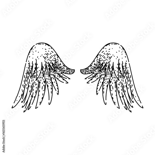 flight wings sketch hand drawn vector