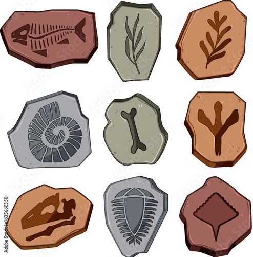 fossil set cartoon vector illustration