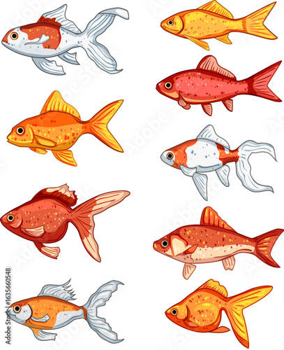 goldfish set cartoon vector illustration