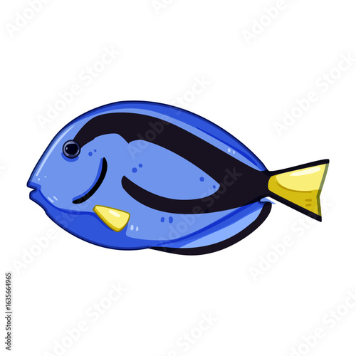 betta decorative fish cartoon vector illustration