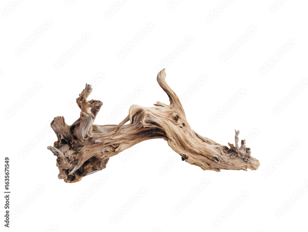 Fototapeta premium A dead wood, white background, clean transparent background
