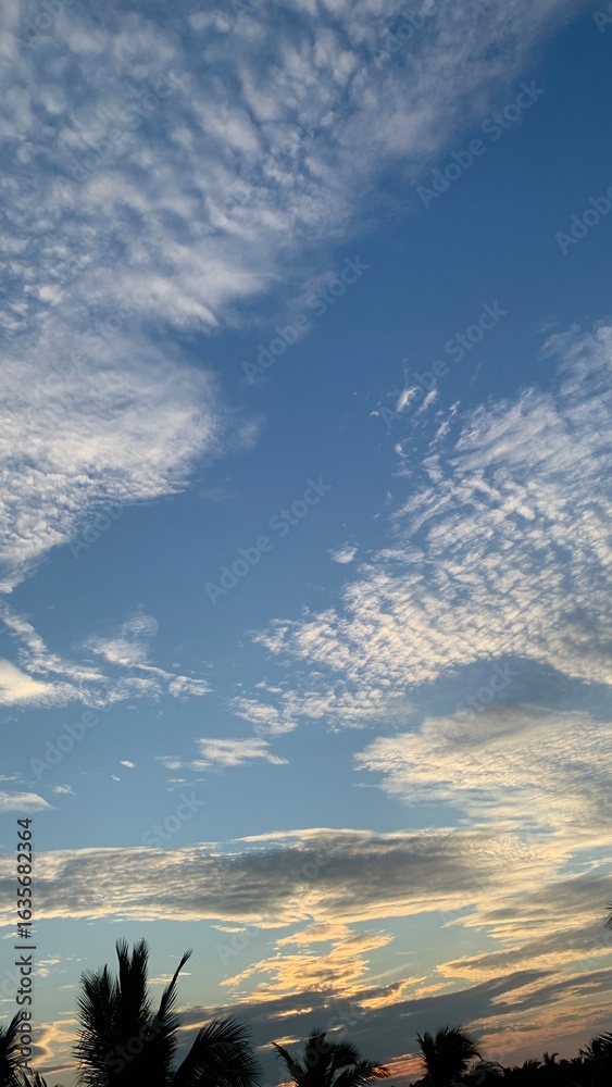 Fototapeta premium sunset in the sky