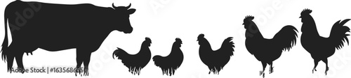 Cow, chickens, silhouette, farm, animals, livestock, rural, poultry, nature, black, barnyard, agricultureCow, chickens, silhouette, farm, animals