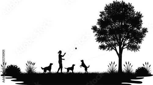 Silhouette, person, dogs, park, tree, playing, ball, leash, nature, outdoor, pet, activity
