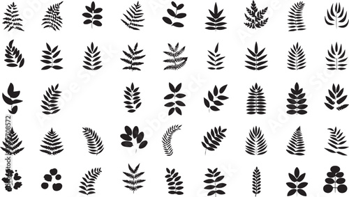  Botanical silhouette collection with ferns, leaves, and abstract plant motifs, intricate detailing, and dynamic symmetrical arrangement