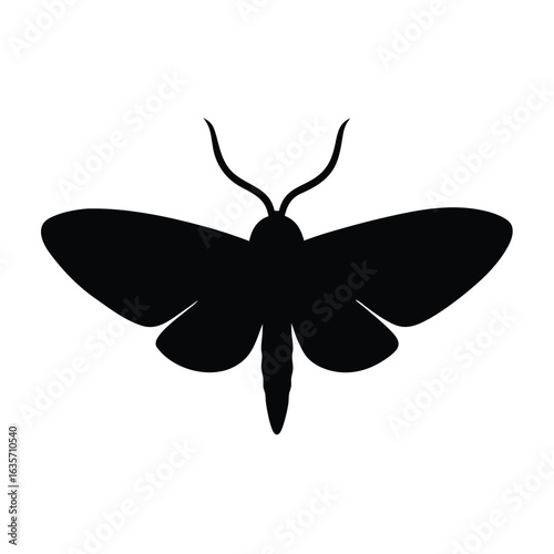 Flat vector illustration of a cecropia moth silhouette vector illustration