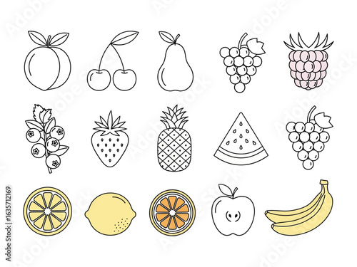Fresh Fruit Collection: A vibrant assortment of fresh fruits, each rendered in an elegant illustration style, creating a visually appealing and appetizing composition.