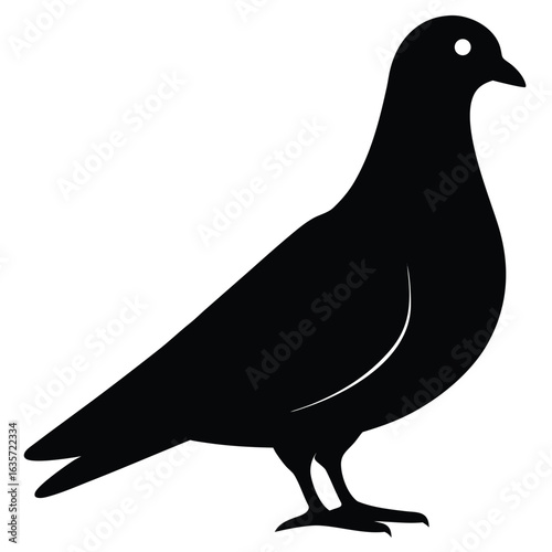 Flat vector illustration of a pigeon silhouette vector illustration