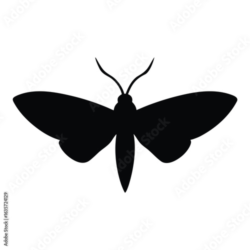 Flat vector illustration of a sphinx moth silhouette vector illustration