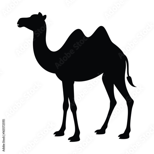 camel on a white background