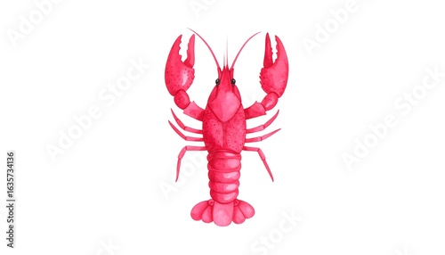 Pink lobster illustration