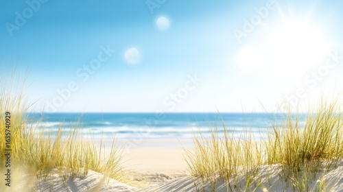 Beach grassy sand view of ocean with sunlight