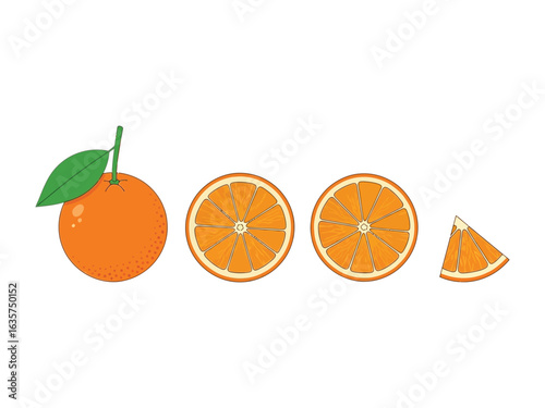 Juicy Citrus Delight: An illustrative overview of a juicy orange fruit, showcasing its vibrant whole form, a cross-section view, and a segment. This image is a tribute to nature's colorful bounty.