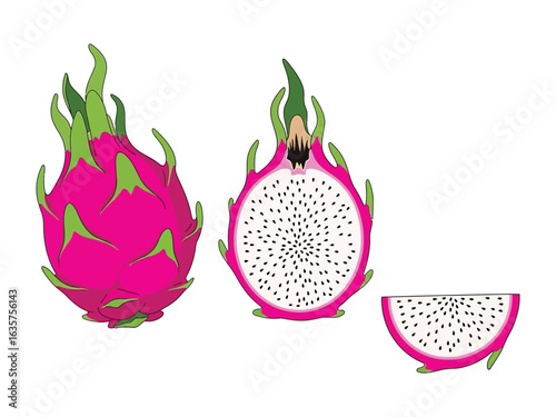 Vibrant Dragon Fruit: A visually striking illustration showcasing the exotic beauty of dragon fruit in various states, perfect for food-related designs and projects.