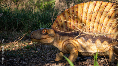 Dimetrodon dinosaur reptile sail back creature history prehistoric model park nature forest permian period predator wild extinct animal carnivore sun