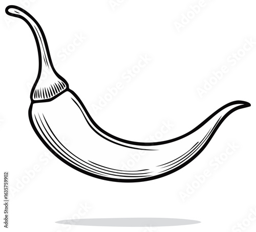 Stylized Line Art of a Curving Chili Pepper