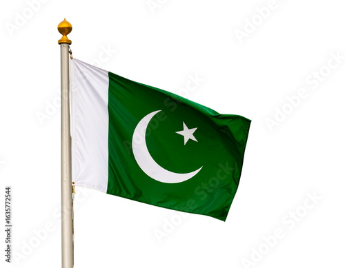 Wallpaper Mural Flowing Pakistan Flag on Flagpole with Wind Ripple, Front View Torontodigital.ca