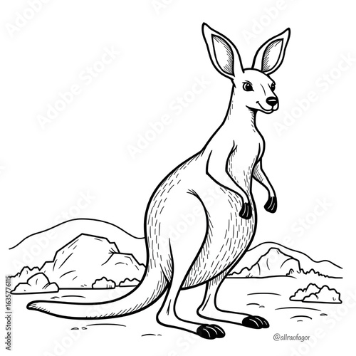 kangaroo white backround 