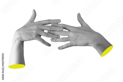 Two female hands with interlaced fingers, creating a clasped gesture that symbolizes unity and