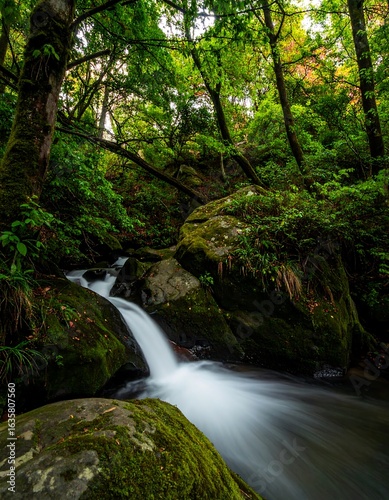Lush waterfall cascading through mossy rocks