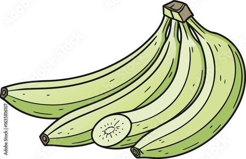 Fresh Raw Green Bananas in Natural Bunch Isolated on White Background for Food and Fruit Design. Realistic Raw Green Bananas with Tropical Freshness for Healthy Eating and Organic Food Concept