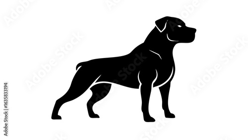 Silhouette of a muscular dog standing alert with short fur and a defined body shape in black on white background