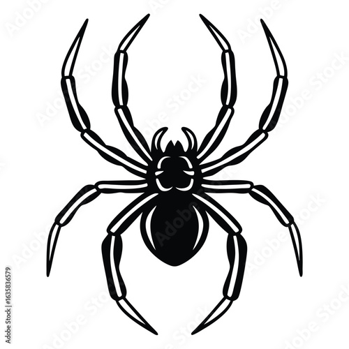 Vector art of black spider silhouette isolated on white background, a graphic illustration of an arachnid with eight legs