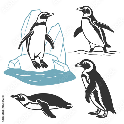 Vector art of collection of penguin illustrations in various poses, isolated on a white background