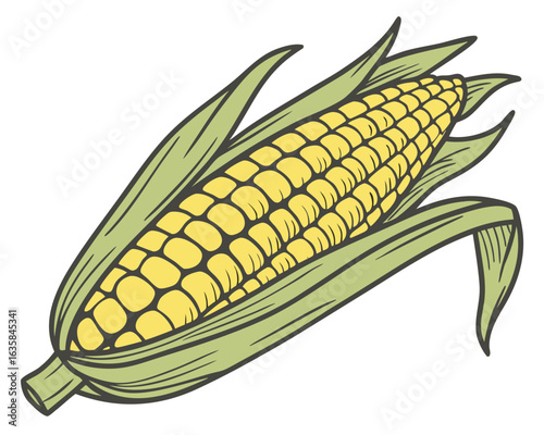 Vector art of fresh corn cob with green leaves, isolated on white background