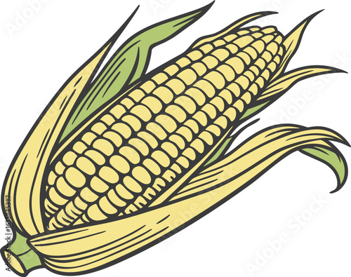 Vector art of a single ear of corn with yellow kernels and green husks, isolated on a white background