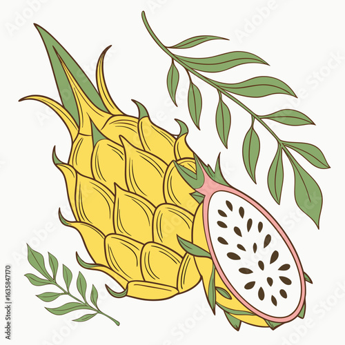 Vector art of yellow dragonfruit pitaya with a slice and green leaves, isolated on white background
