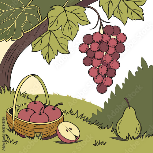 Vector art of a basket of apples and a bunch of grapes hanging from a vine, with a pear nearby