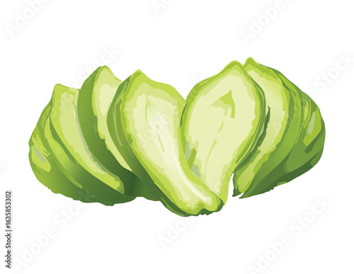 Healthy Chayote Vegetable Slices Raw Food - Vector Illustration