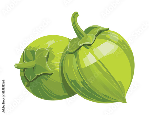 A Pair of Tomatillo Vegetable Fresh - Vector Illustration
