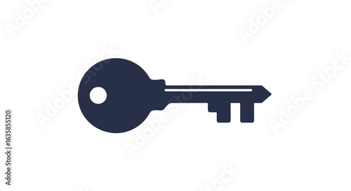 Key image on white background Security, unlocking, opening, access