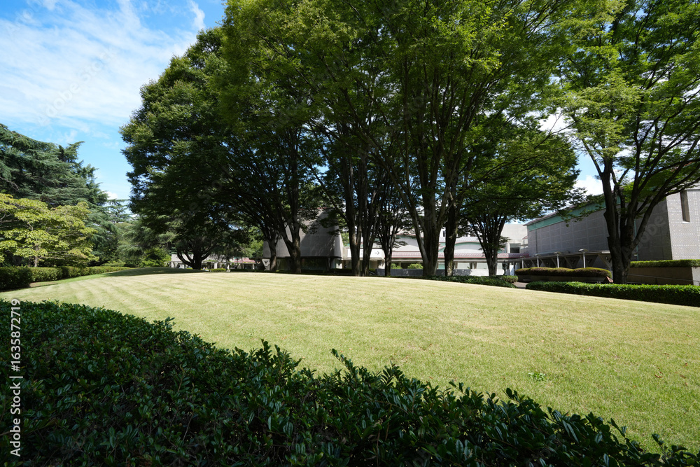 Naklejka premium 砧公園