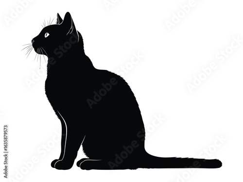 Silhouette of a Majestic Feline: A sleek, ebony-hued cat sits in graceful repose, its silhouette a study in elegance and poise. Embodying the timeless allure of feline grace and charm.