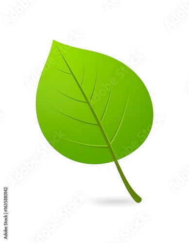 A vibrant green leaf illustration with detailed veins, isolated on a white background, symbolizing nature and ecology.