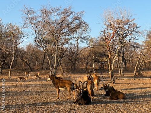 Safari trip to South Africa