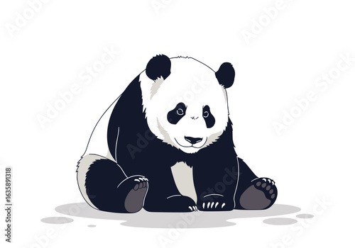 Adorable giant panda sitting comfortably on a white background