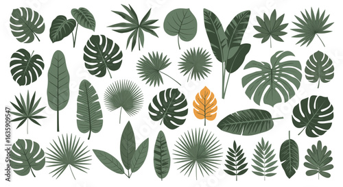 Vibrant Tropical Leaf Collection Featuring Diverse Shapes and Sizes