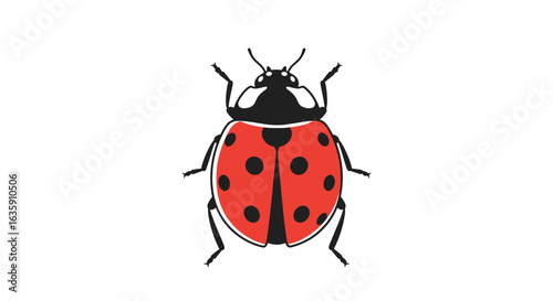 Discover the Fascinating World of Ladybugs A Detailed Exploration of These Beneficial Insects and Their Role in Nature