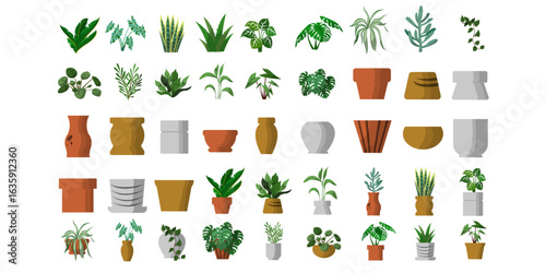 Plant on Pot Illustration