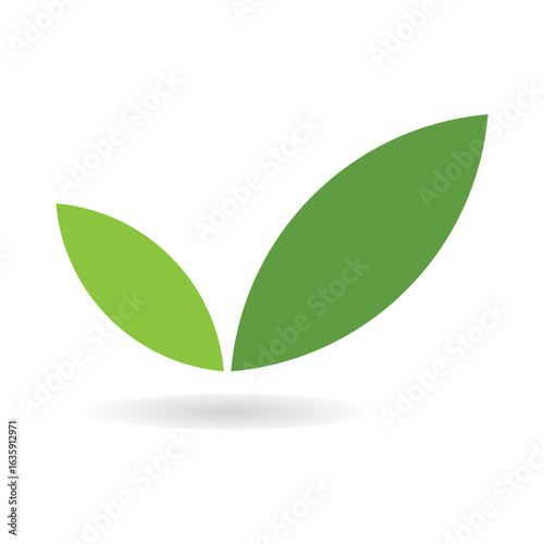 Green leaf ecology nature element